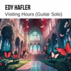 Visiting Hours (Guitar Solo) - Single