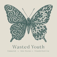 Wasted Youth - Single - EMMERICH, Attic Stories & Friends Don´t Lie