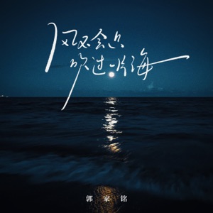 风不会只吹过一片海 - Single
