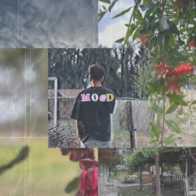 MOOD </3 (feat. Juanpa Hidalgo) - Single
