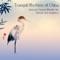 Buddha Virtue - Beij Frontlight lyrics