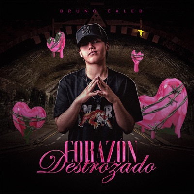 Corazón Destrozado - Single