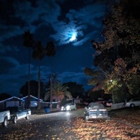 3 nights 4 days (feat. Jades) - Single - Timentes & screwyounick