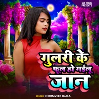 Gulari Ke Ful Ho Gailu Jaan - Single - Dharmveer Ujala