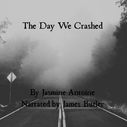 The Day We Crashed (Unabridged) cover