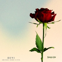 SEYI (Sped up) - Single - Amichael Genre