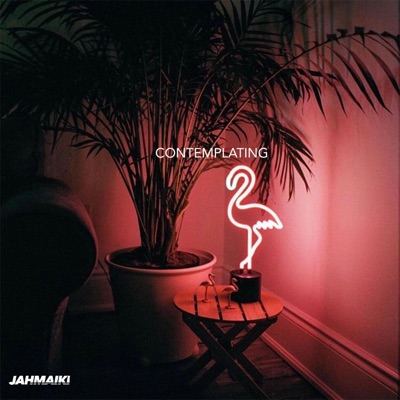 Contemplating - Single