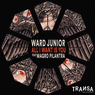 All I Want Is You (feat. Magro Pilantra) - Single