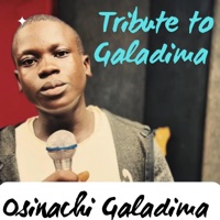 Tribute to Galadima (feat. Osinachi Galadima) - Single - Obiroyce Ent