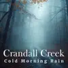 Cold Morning Rain