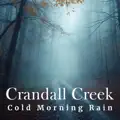 Cold Morning Rain