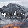 Lost In The Snow