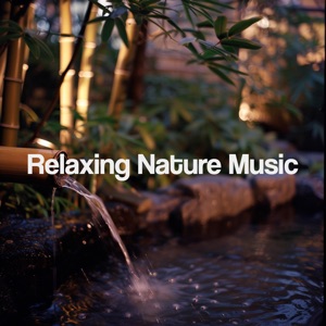 Relaxing Nature Music