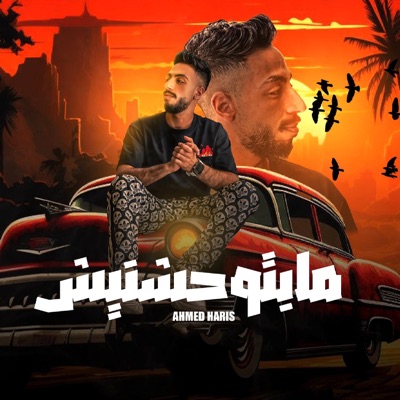مابتوحشنيش - Single
