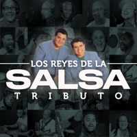 Tributo a Los Reyes de la Salsa (feat. Luisito Carrion, Norberto Velez, Ezequiel Colón, Kevin Ceballos, Puchy Colón, Arnaldo Jimenez, Willito Otero, Ihan Rosario, Mario Rosario, Richie Ray, Carlos Garcia Natal & Fernand Reyes) - Single - Plenavida
