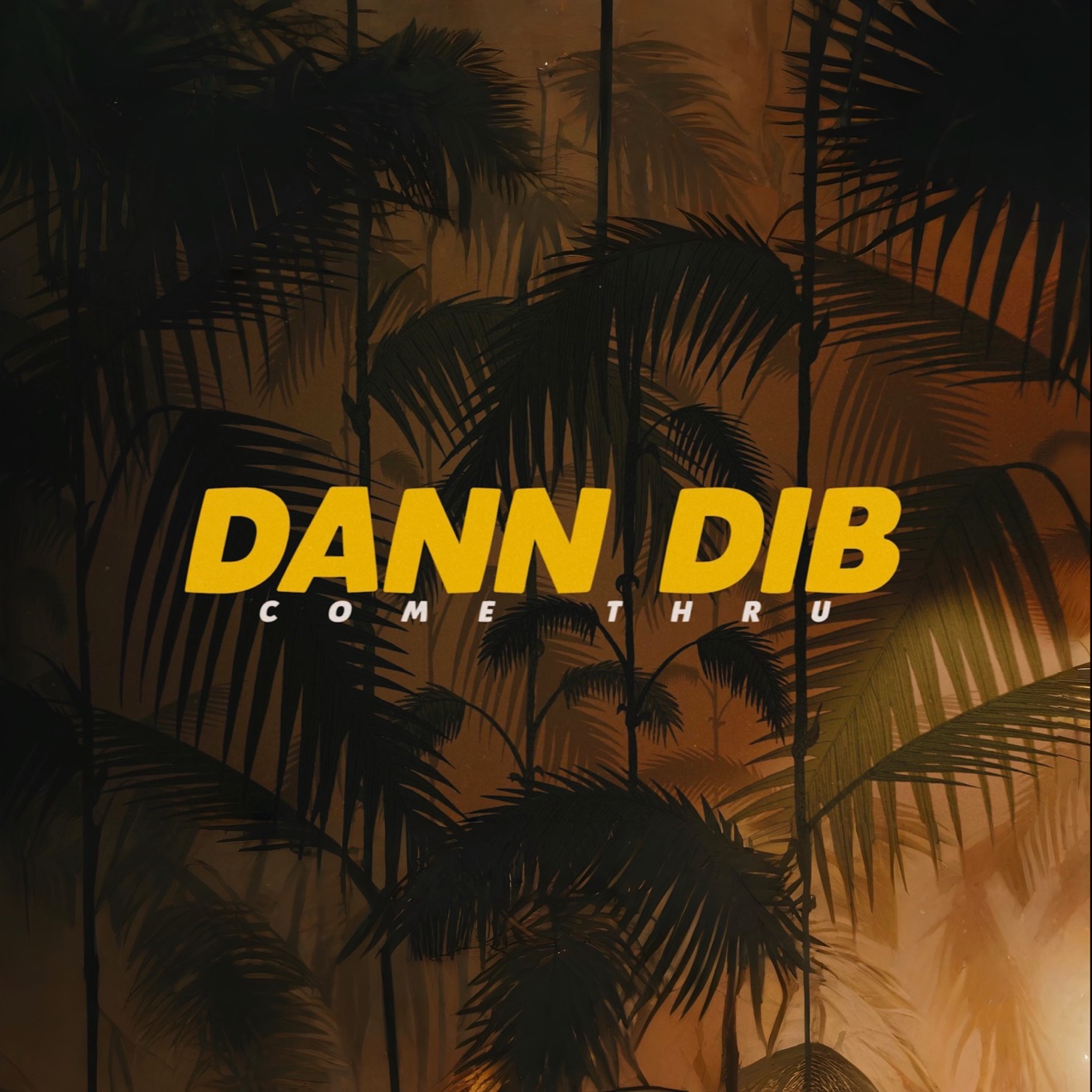 Dann Dib – COME THRU (feat. Infuschia) – Single (2025) [iTunes Match M4A]