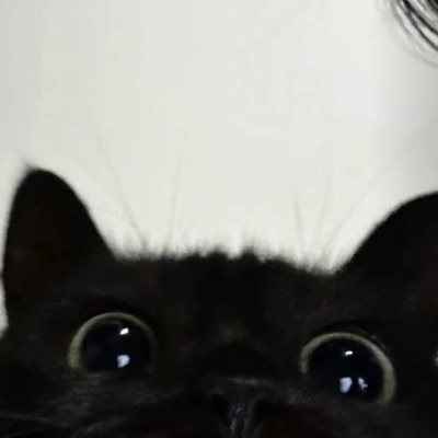 I H8TE BEING L8 TO EVERYTHING