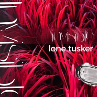 Invisible - Single - Lone Tusker