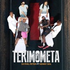 TERIMOMETA (feat. Kenny sol)