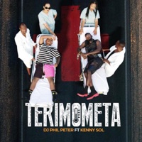 TERIMOMETA (feat. Kenny sol) - Single - Dj Phil Peter