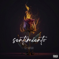 sentimiento - Single - El Goteo