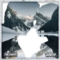 Wifey — Tom Zanetti