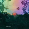 Kosmo Sound - Ferocious