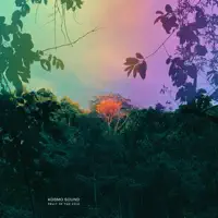Ferocious — Kosmo Sound
