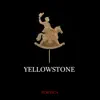 PORTICA - Yellowstone