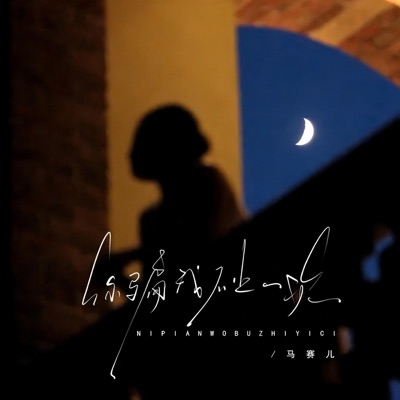 你骗我不止一次 - Single