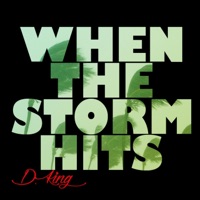 When The Storm Hits - D.King
