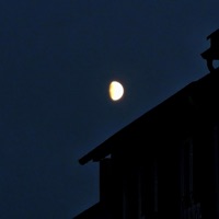 DARK TRIAD - Single - Pollaxfish