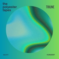 the polyester tapes vol 1 - EP - Triune