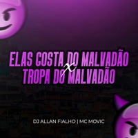 Elas Gosta do Malvadão X Tropa do Malvadão - Single - DJ ALLAN FIALHO & MC Movic