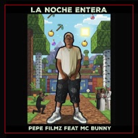La Noche entera (feat. MC Bunny) - Single - Pepe Filmz
