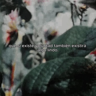 Día 1 - Single