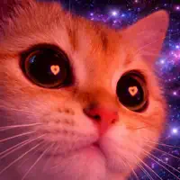 I Lost Myself (I'm Hungry... And That Ain't Right) — Pink Martini, Thomas Lauderdale, Meow Meow