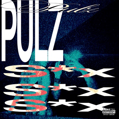 PULZ (S*X REMIX) - Single