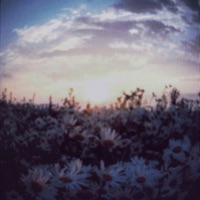 Spring - Single - lovelygod & 1whysky