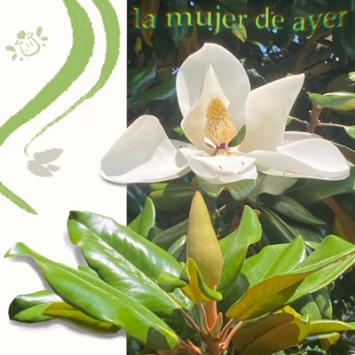 La Mujer de Ayer (Single) - Single