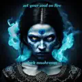 set your soul on fire