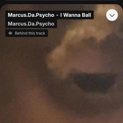 I Wanna Ball - Single