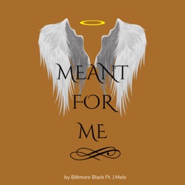 Meant For Me (Radio Edit) Biltmore Black