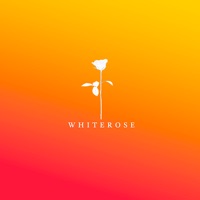 One - Single - ID ID