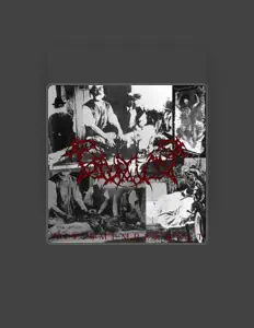 Pseudo Comaを聴いたり、ミュージックビデオを鑑賞したり、経歴やツアー日程などを確認したりしましょう！