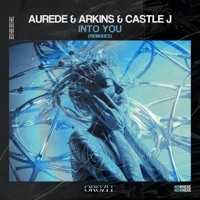 Into You (Remixes) - Aurede, Arkins & Castle J