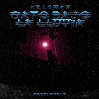 Gato Bajo la Lluvia - Single - KELOWAX