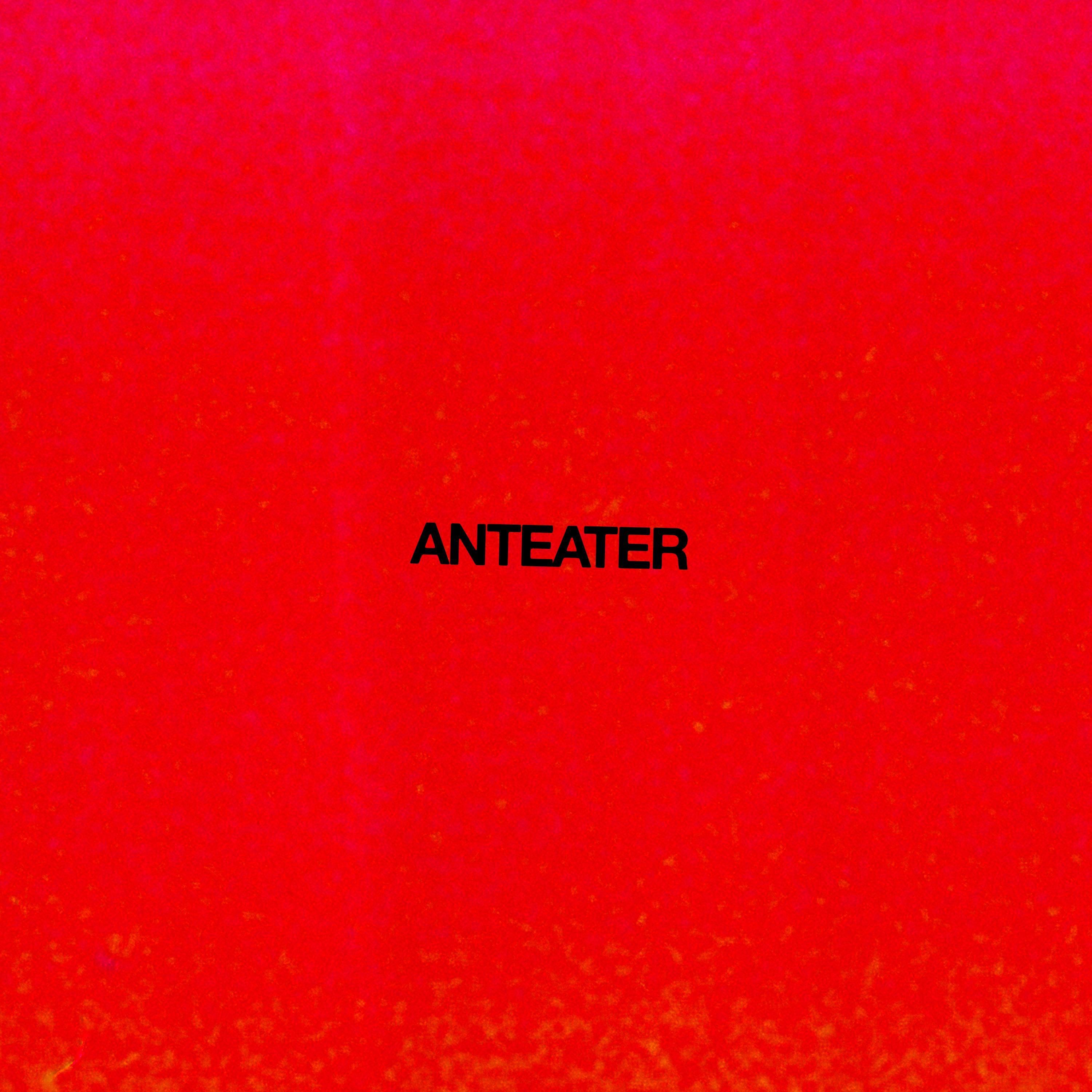 Anteater - Single