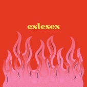 exlesex artwork