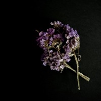 Wasn't meant to be - Single - Nathan Tiller & AC